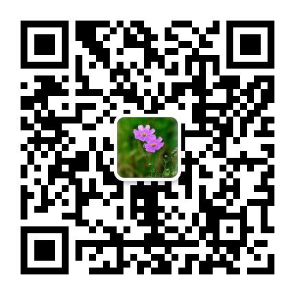萍工.jpg